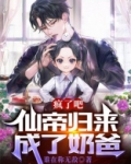 疯了吧，仙帝归来成了奶爸