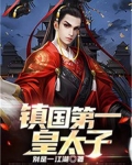 镇国第一皇太子小说