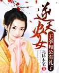 逆天农女：王爷相公有礼了