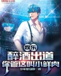 娱乐醉酒出道你管这叫小鲜肉小说