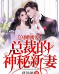 闪婚蜜爱总裁的神秘新妻全文免费阅读莫浅笑