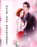 兽性总裁霸上前妻