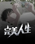 完美人生小说全文免费阅读