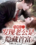 闪婚后,发现老公是隐藏首富 念丞