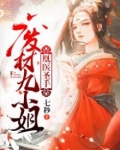 凰医圣手：废材九小姐
