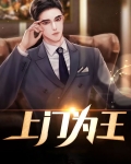 上门为王云辰免费全文免费阅读