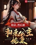相亲然后被和亲公主抢亲