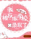 我被反派学校录取了讲什么