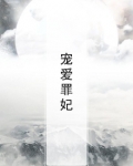 宠爱罪妃