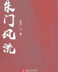 朱门风流小说
