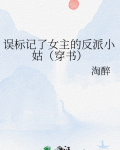 误标记了女主的反派小姑(穿书)百度网盘