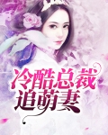 冷酷总裁追逃妻