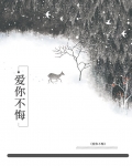爱你不悔的模样 歌词