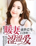 盛世暖婚甜入骨