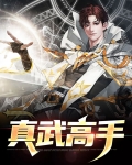 真武太强了