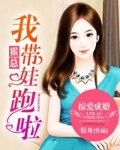 掠爱成婚：霍总，我带娃跑啦