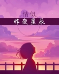 似昨夜星辰诗句