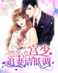 宫少追妻请低调