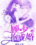 顾少一抱成婚全文免费阅读