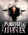天眼摸金小农民下载