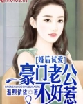 婚后试爱：豪门老公不好惹