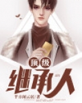顶级继承人小说
