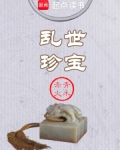 乱世珍宝小说