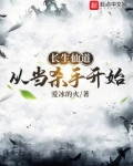 长生仙道从当杀手开始TXT下载