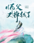 类似师父又掉线了