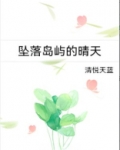 坠落岛屿的晴天免费阅读笔趣阁