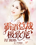 名门暖婚霸道总裁极致宠百度云