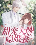 甜宠大牌隐婚妻小说全文免费阅读