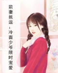 冷少霸爱:前妻我们复婚吧