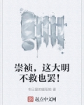 崇祯,这大明不救也罢!冬日里的暖阳哟