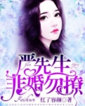 严先生，非婚勿撩
