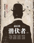 最后的潜伏者（下）