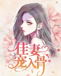 佳妻宠入骨