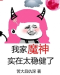 我家魔王 小说