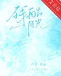 残酷月光小说