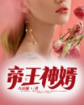 帝王神婿宁北辰叶欺霜