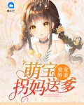 独宠臻宝:拐个萌娃养成妃 小说