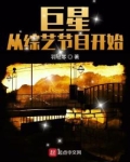 巨星从综艺节目开始