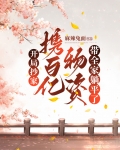 大明:开局抄家了满朝文武