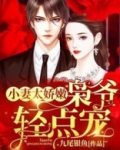 新小妻太娇嫩,枭也轻点宠