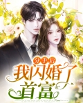 分手后我闪婚了亿万富豪