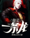 什么是一条龙的服务