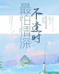 最怕深情到敷衍下一句