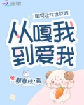 《如何让反派弯成蚊香》