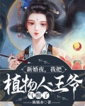 新娘嫁给植物人