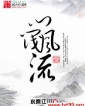门阀风流 小说
